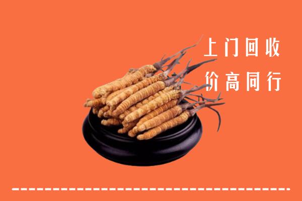 高价求购：兰州市西固回收散虫草