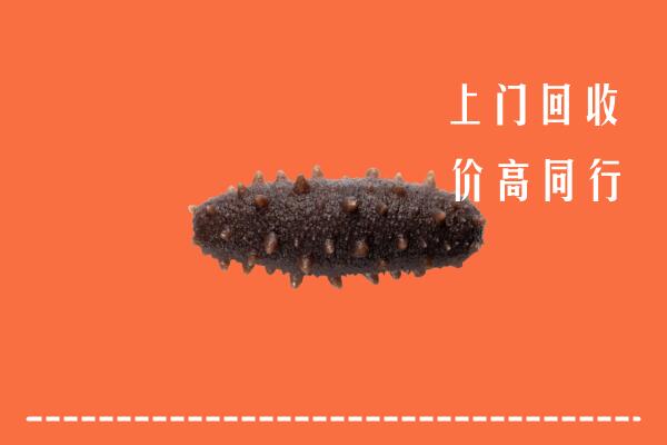 兰州市西固回收海参