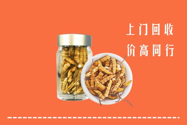 兰州市西固回收冬虫夏草